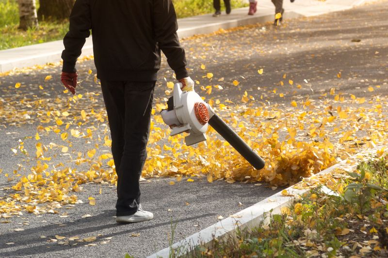 Leaf Blowing for Yard Cleanup