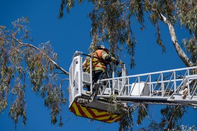 High-Reach Tree Work