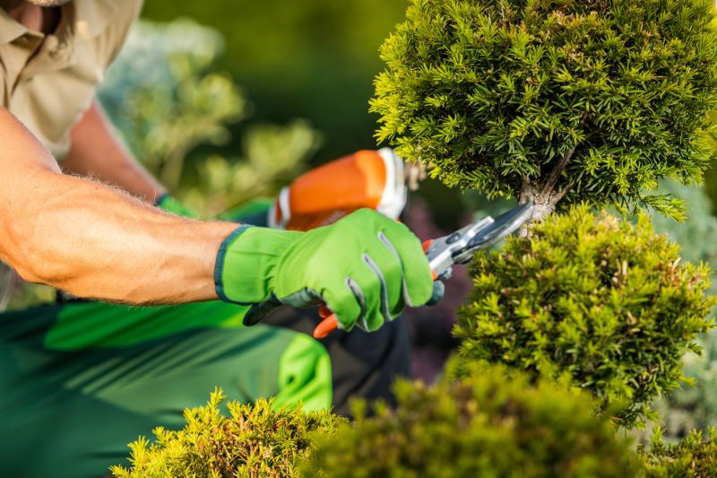 Garden Maintenance Companies